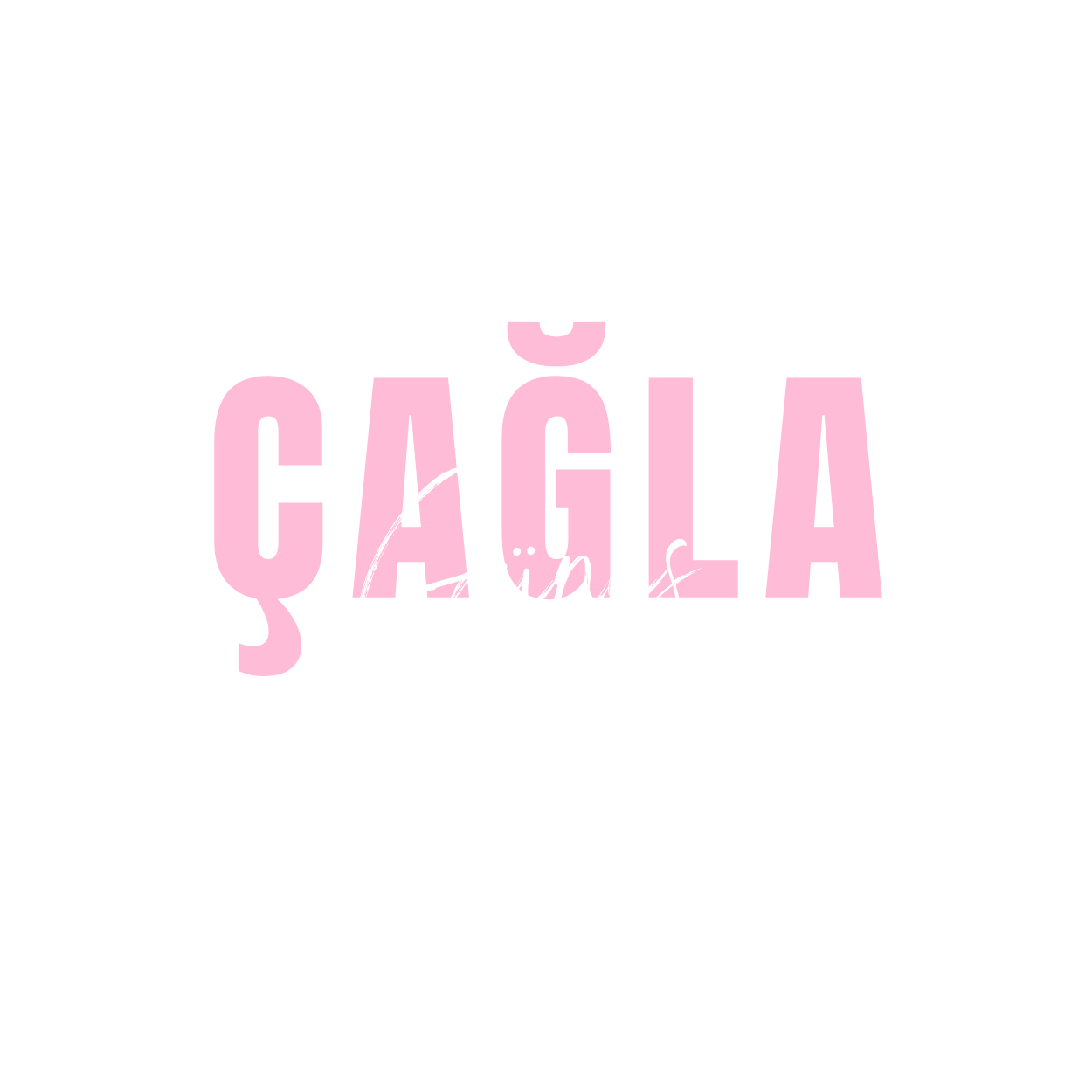 theme-sticky-logo-alt